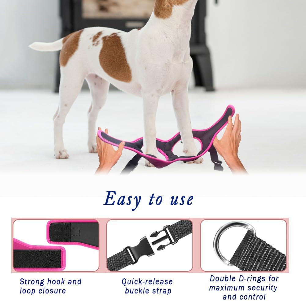 Comfort Fit Dog Harness - Comfortable Puppy Harness & Dog Vest: Adjustable, Soft Padded for Small, Medium Dogs - Easy to Put-On Dog Harness Medium Sized Dog